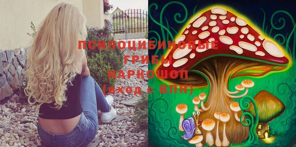 тгк Абинск