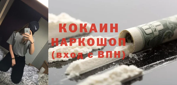 хмурый Алексин