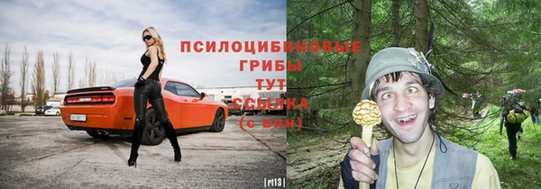 ПСИЛОЦИБИНОВЫЕ ГРИБЫ Абдулино