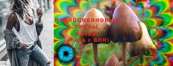 круглые Абаза