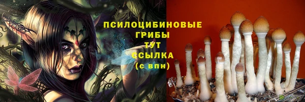 дживик Михайлов