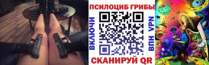 Псилоцибиновые грибы Cubensis где купить наркоту блэк спрут ссылка Починок